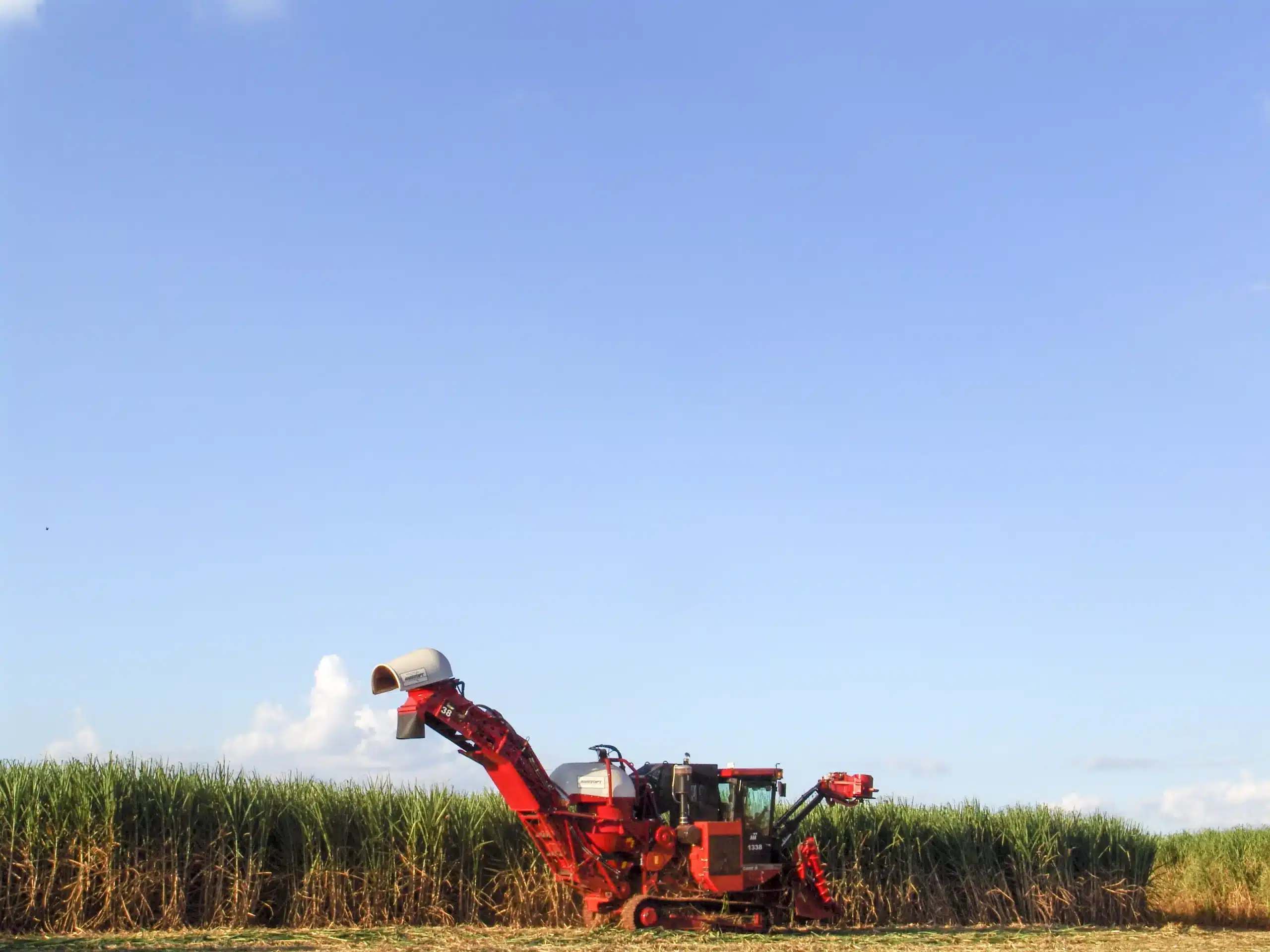 Transformar e evoluir