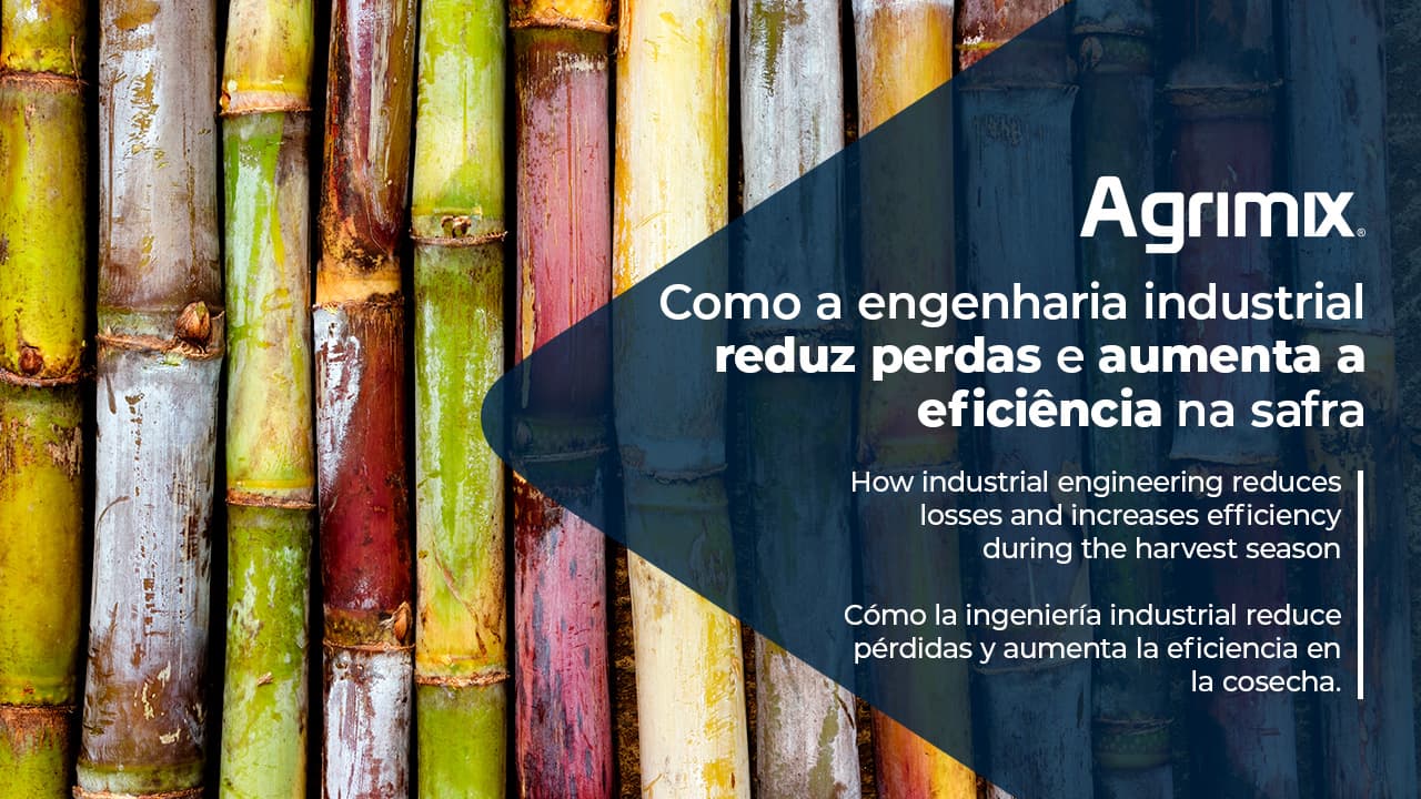 Como a engenharia industrial reduz perdas e aumenta a eficiência na safra