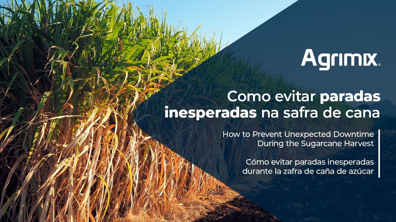 Cómo evitar paradas inesperadas en la zafra de caña